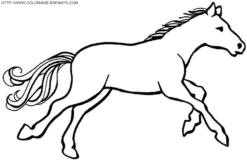 Ateliers Coloriage Saurais Tu Colorier Un Cheval Qui Galope Tetupide