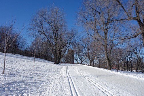 Le Mont Royal enneigé 