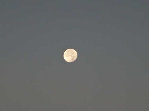 « On la voit bien, la lune »