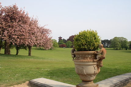 Les serres royales de Laeken. Belgique