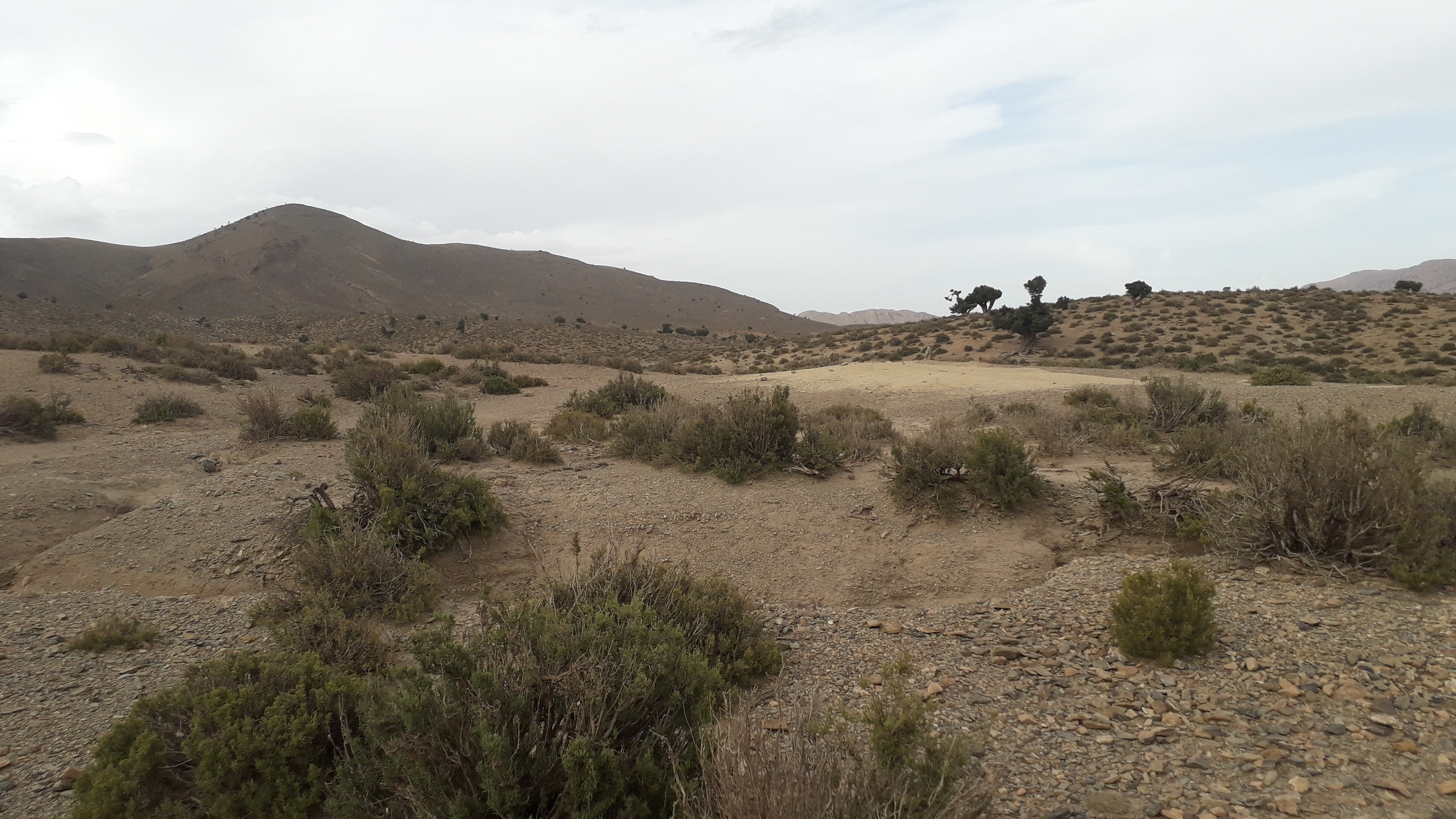 Bivouac du côté de Midelt