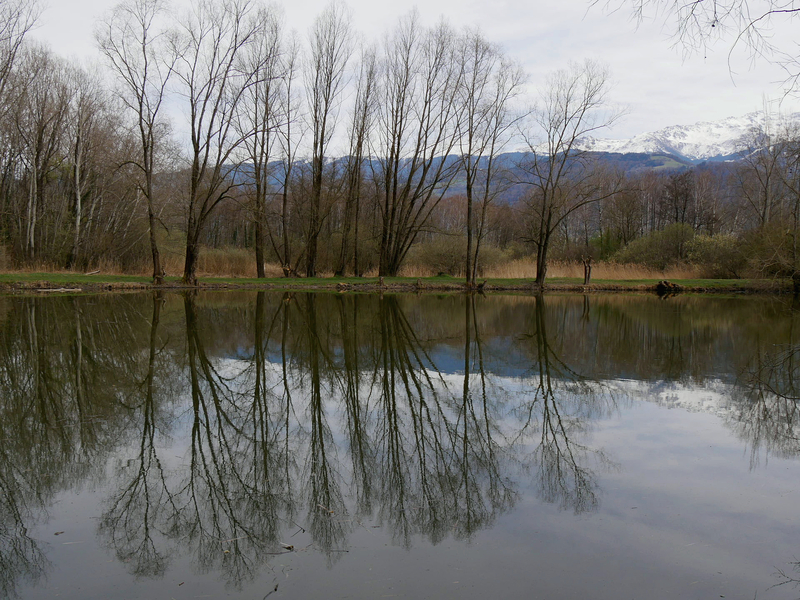 2023.03.18 Marais de Montfort (département Isère) 1