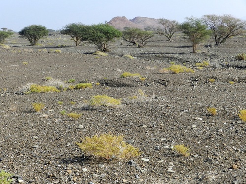 Oman Routes du Nord