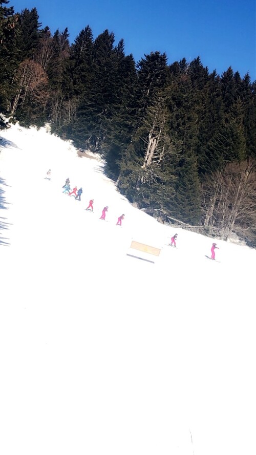 Programme du samedi 16 février: ski pour tout le monde!