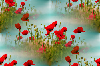 Textures Coquelicots