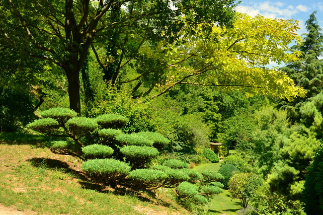 2014.07.06 Jardins Erik Borja (Beaumont-Monteux, Drôme) n°2