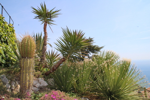 Le jardin exotique d’Eze