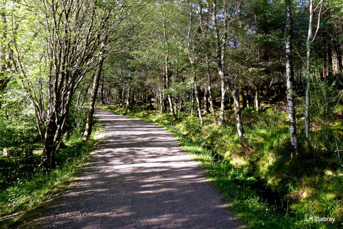 Écosse : Glencoe Lochan 