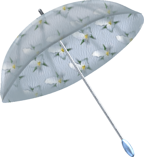 PARAPLUIE / UMBRELLA 