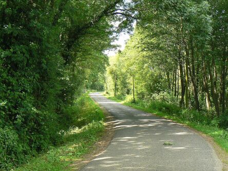 Forêt et vallées de l'Eure