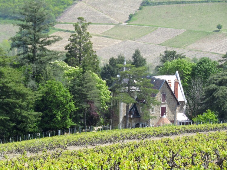 Quincié en Beaujolais