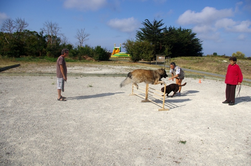 Entraînement du 09 septembre 2012