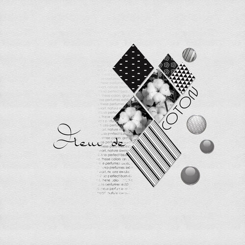 Simply Black and White par LéaUgoScrap