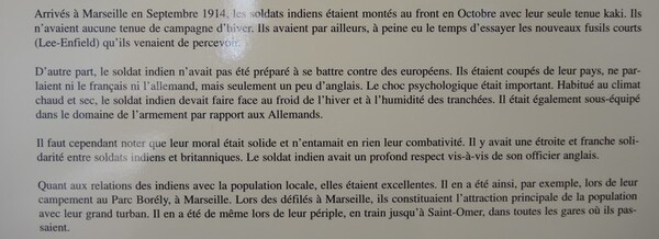 L'Inde dans la Grande Guerre- N°2