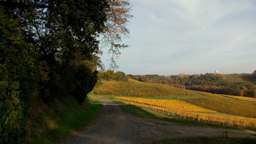 Momprimblanc (petite commune de Gironde)