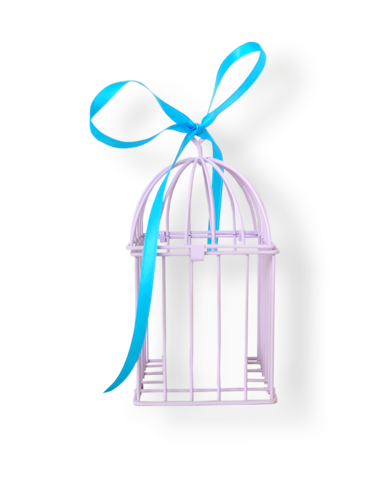 Cages à Oiseaux Série 4