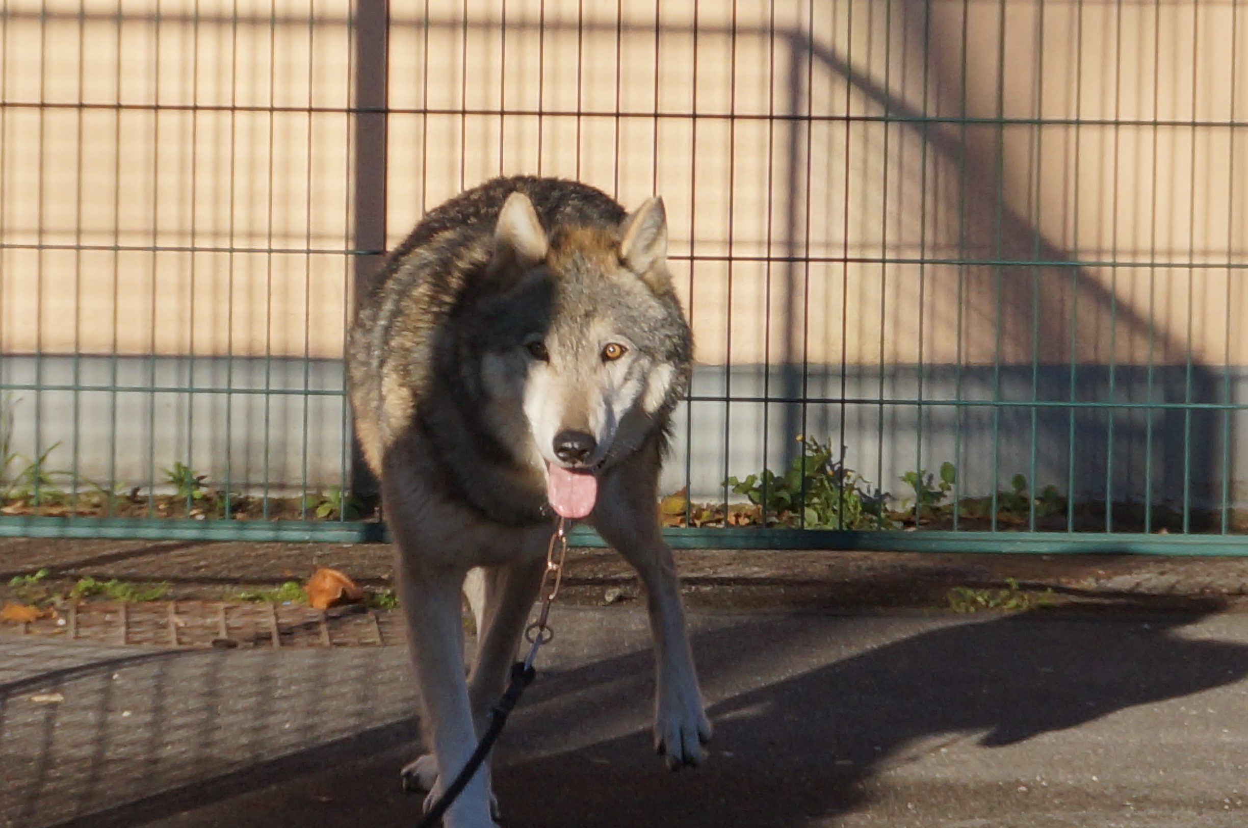 rencontre gif sur yvette