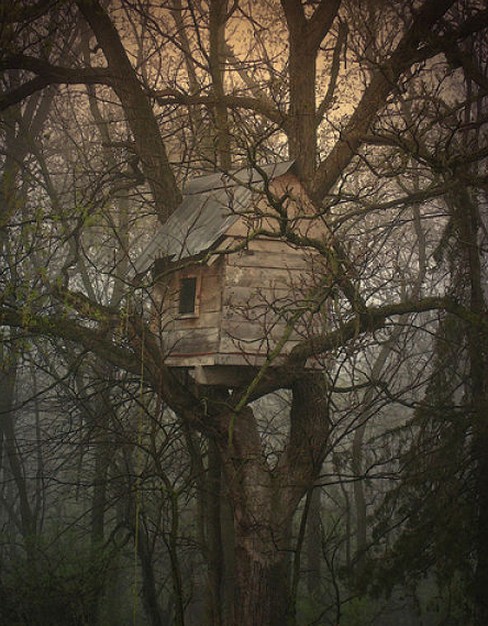 Les petites maisons dans les arbres.