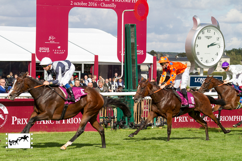 Total Prix Marcel Boussac Criterium des Pouliches