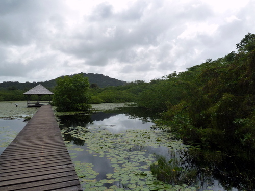 salines de Montjoly