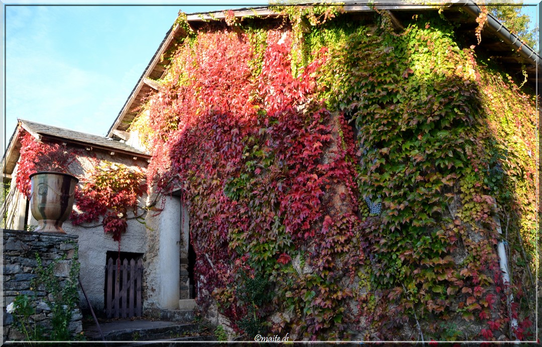 Autour du château de Gironde - Aveyron 30-10-2014