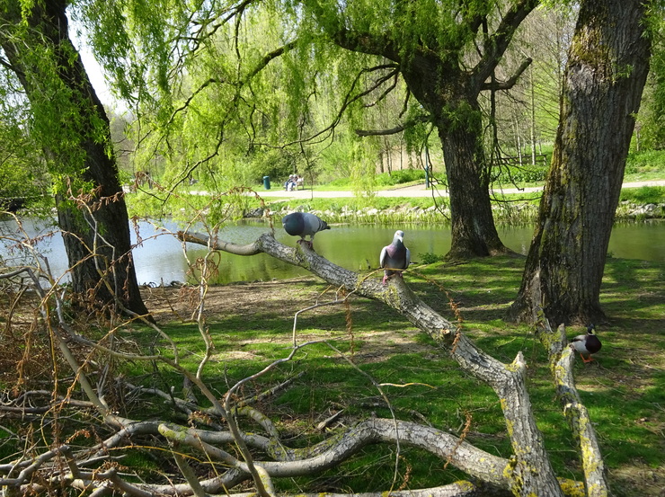 Comment va le parc de Ficelle ? 