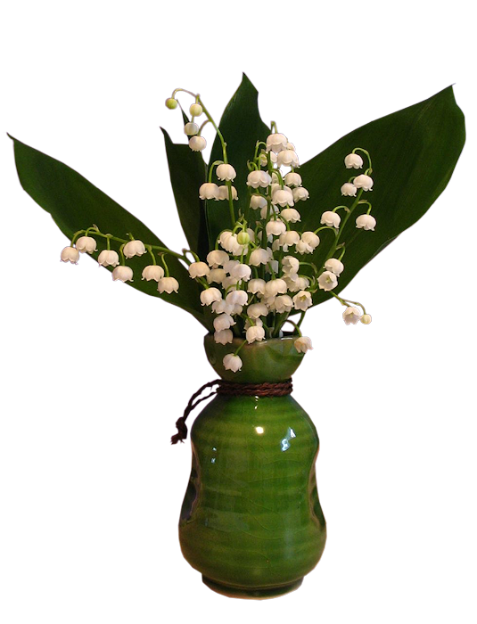 TUBES 1 MAI MUGUET PNG....BONNE SOIREE A VOUS ET A BIENTOT XOXO CAROLINE