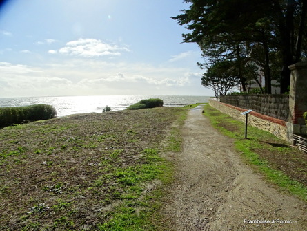 Préfailles,  sentier du littoral - 2020