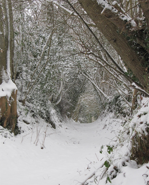 Chemin creux sous la neige à Bellou le Trichard