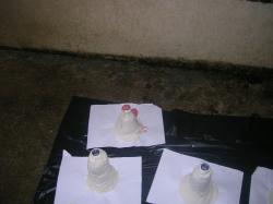 Les volcans d&eacute;cloisonnement CP