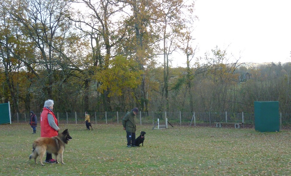 Entraînement obé décembre.