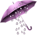 Un petit coin de parapluie
