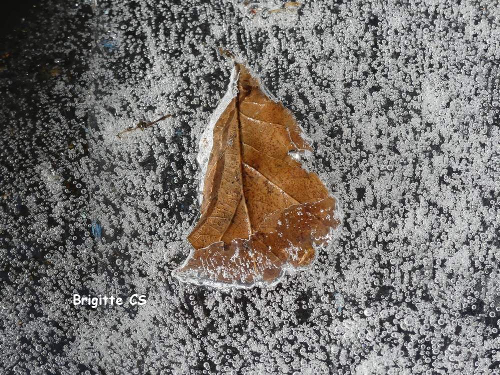 Quand Dame Nature réalise des oeuvres d'art qui pétillent...