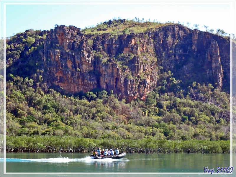 20/09/2022 : premier débarquement pour voir la mangrove de la Rivière Hunter - Prince Frederick Harbour - Kimberley - Australie