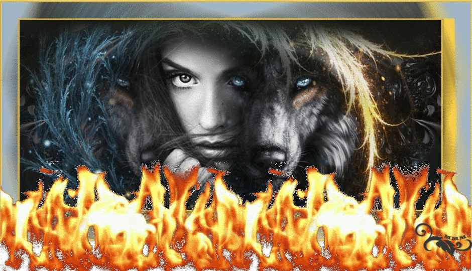CAPAS-MMM-491-Cover.gif?profile=RESIZE_710x