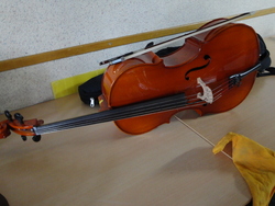 Le violoncelle - Lundi 25 mars 2013