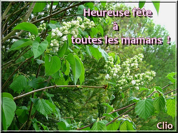 Bonne fête à toutes les mamans ! 