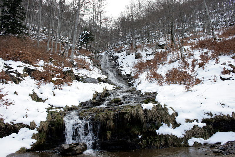 Cascade du ruisseau Rossignol dans son écrin de neige - Massif de Paloumère - Milhas - 31