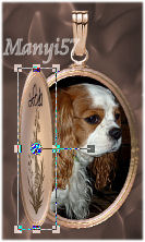Animációs Medal
