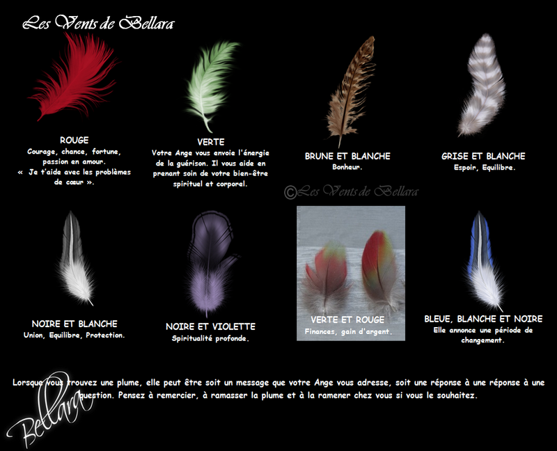 Signification des plumes selon leur couleur - 2