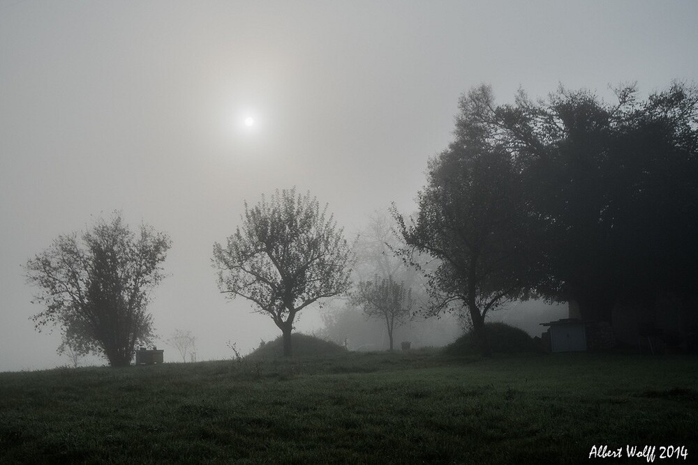 Au jour d'Halloween..