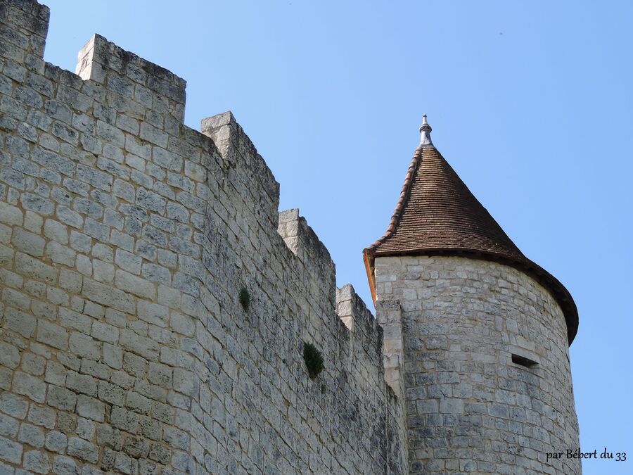 Villebois la Valette , le château (16)