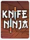 L’affiche du jeu « Knife Ninja »