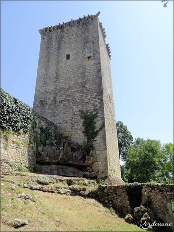 Photo de la Citadelle médiévale de Rions - Gironde