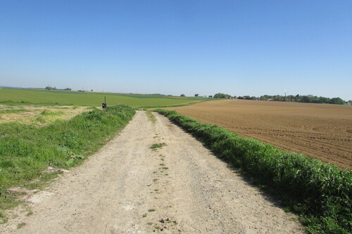        -   ma marche ce matin dans ma campagne