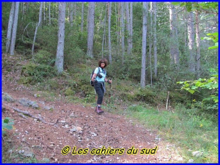 Gorges du Tarn, de Ste Enimie à Castelbouc