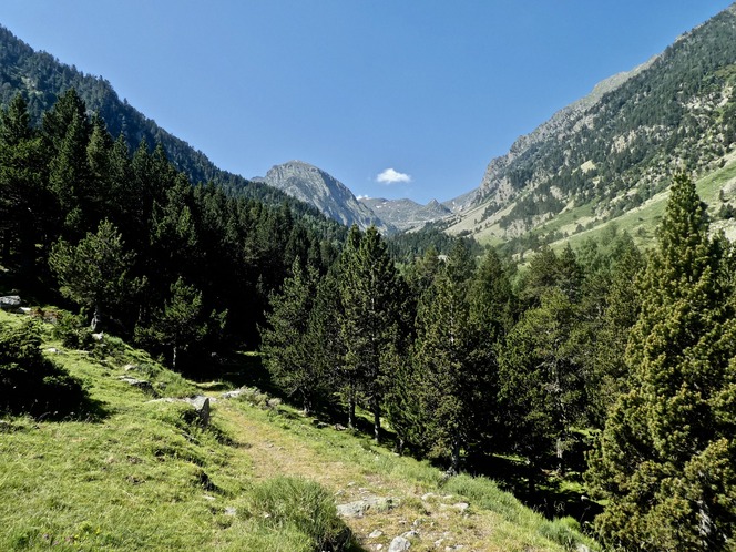 Peut être une image de montagne