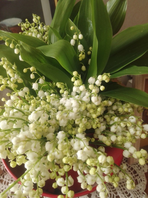 Joli bouquet de muguet