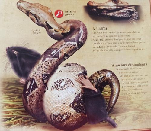 les serpents