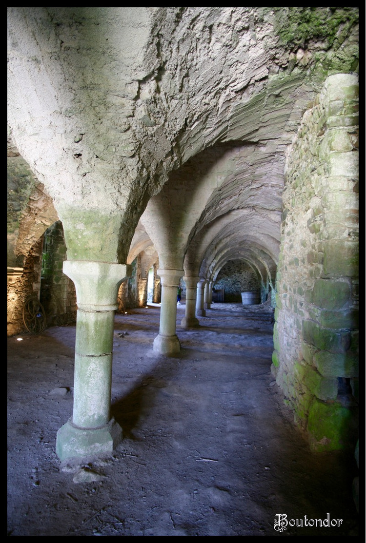 Paimpol - Abbaye de Beauport( Côtes-d'Armor 22)-3